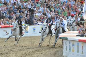 Teodor Kolarič zmagovalec nacionalnega galopa na Madžarskem! 2